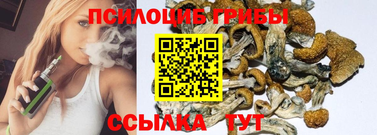 Ханты-Мансийск  Псилоцибиновые грибы Psilocybe  Вход с VPN 