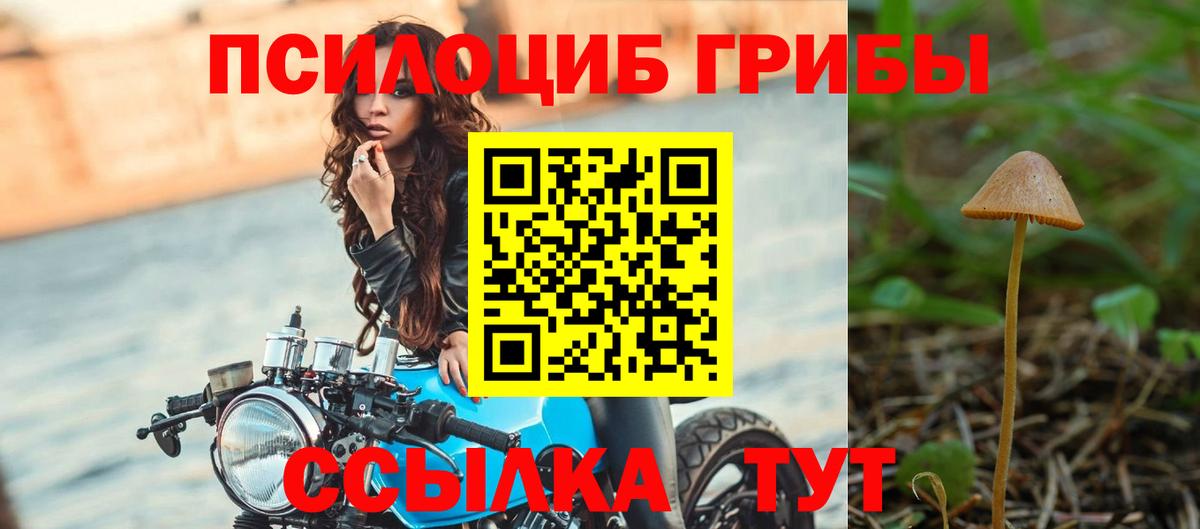 Галлюциногенные грибы Cubensis Ханты-Мансийск
